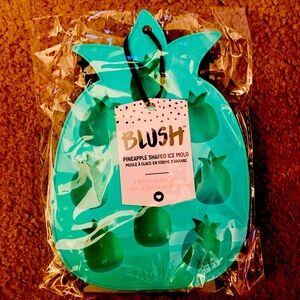 🍍NWT! Blush Pineapple Shaped Silicone Ice Tray & Mold- Makes 9🍍